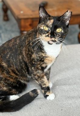 Gabby