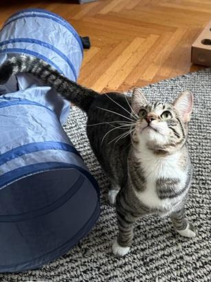 Fiona