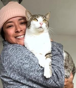 Marshall - Give Me Shelter Cat Rescue