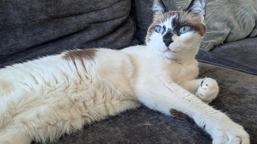 Miss Lizzie